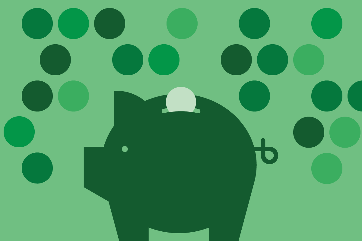 A decorative image of a piggy bank for aesthetic purposes only.